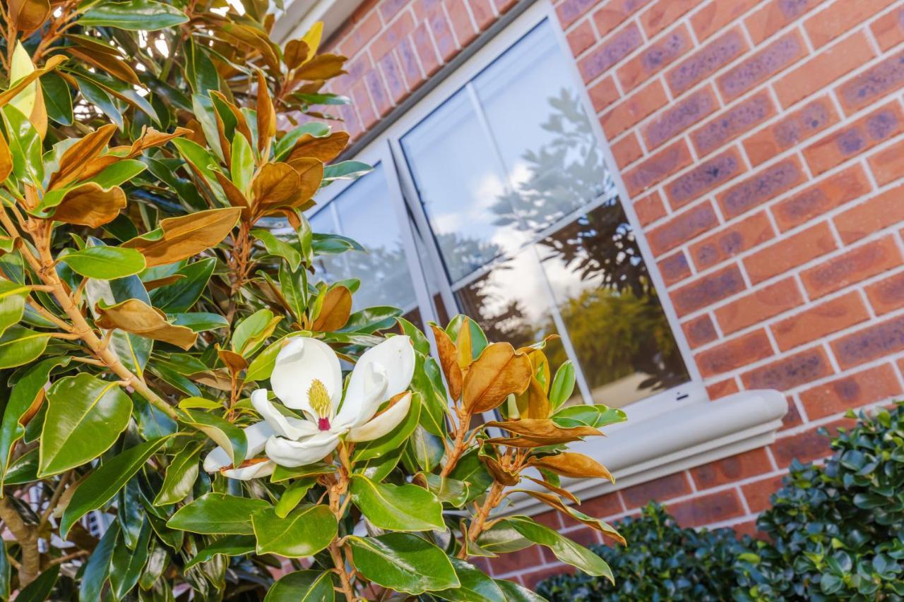 Sweet Magnolia 1 Or 2 Bedroom Suite St Kilda Cambridge With Complimentary Continental Breakfast Esterno foto